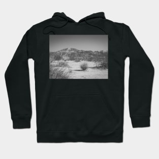 Photo of Western Wagon with Flowers arrangement V4 Hoodie